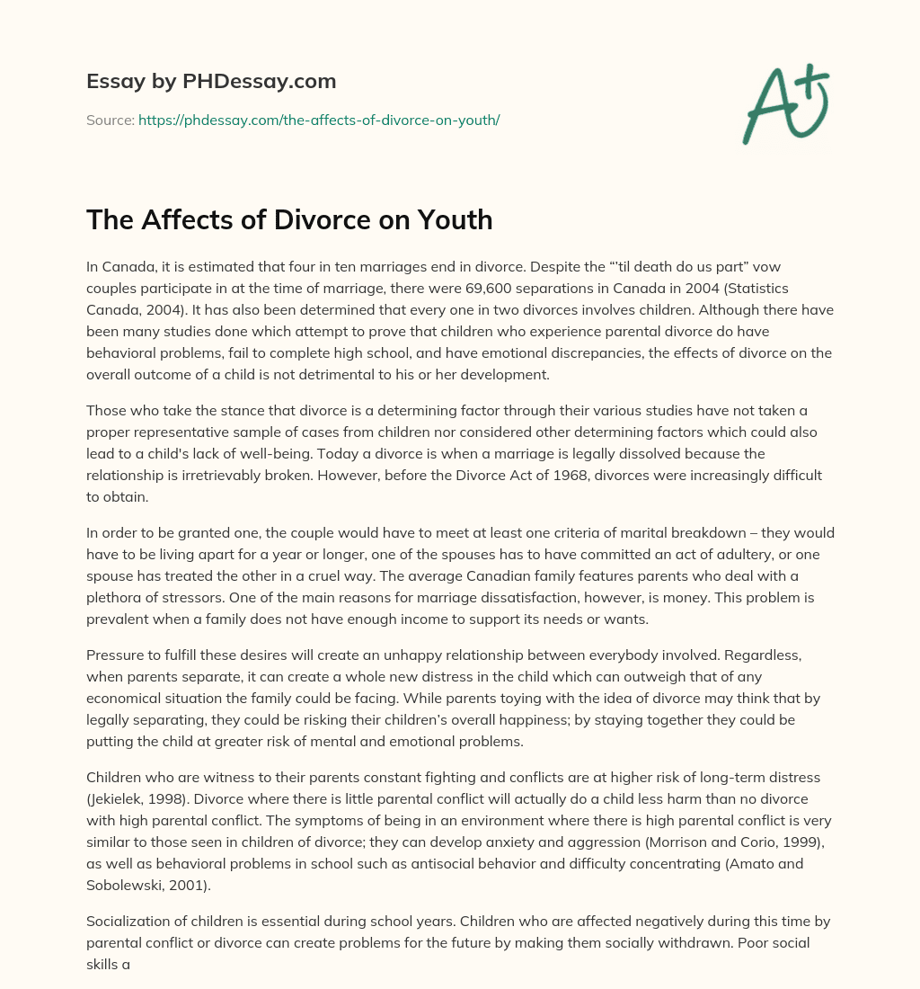 The Affects of Divorce on Youth essay