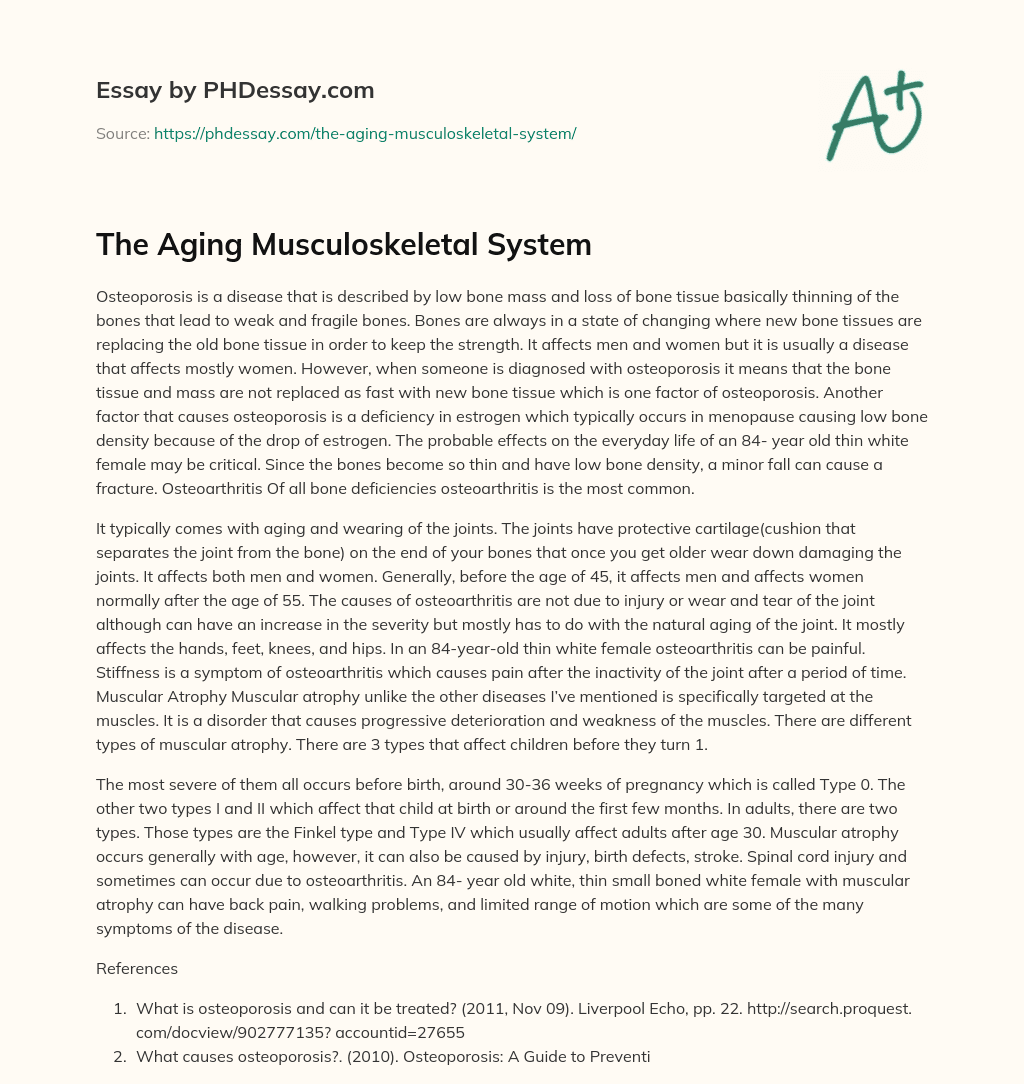 The Aging Musculoskeletal System essay