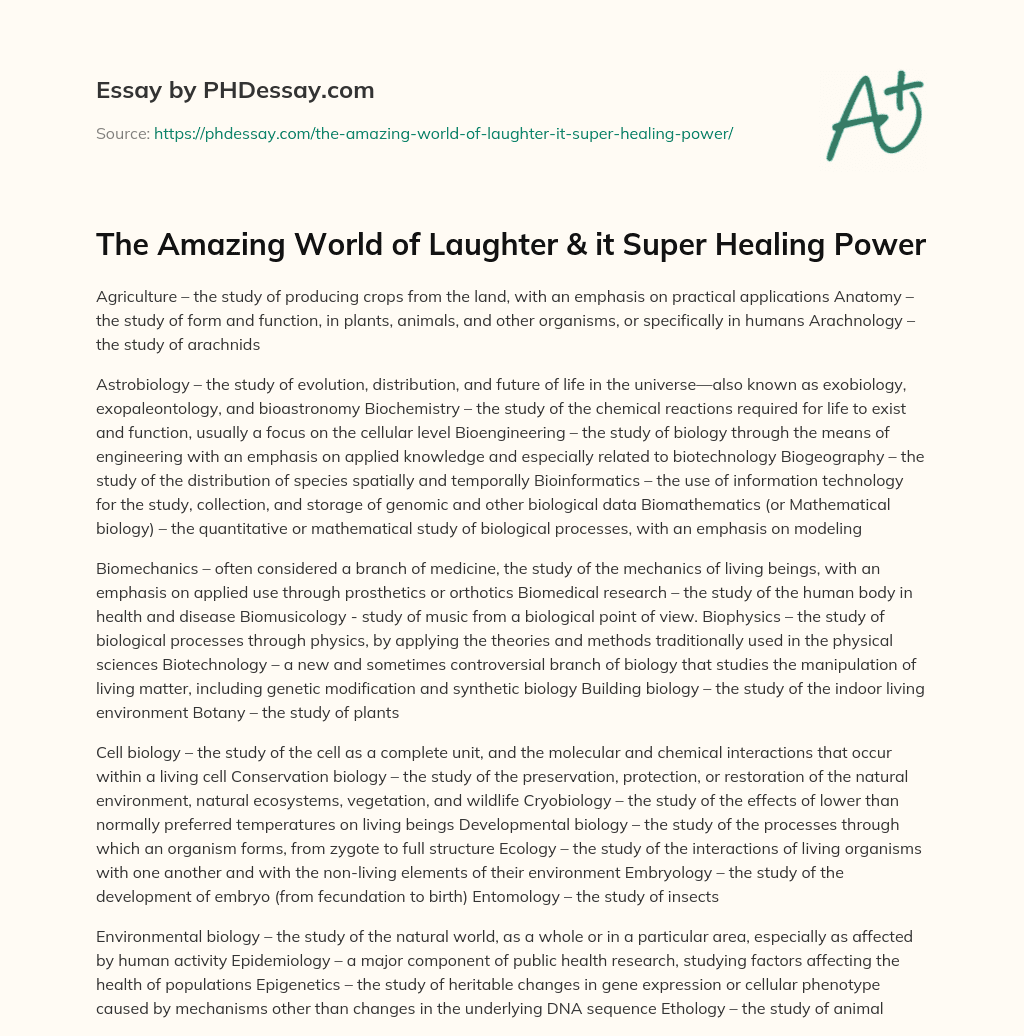 The Amazing World of Laughter & it Super Healing Power essay