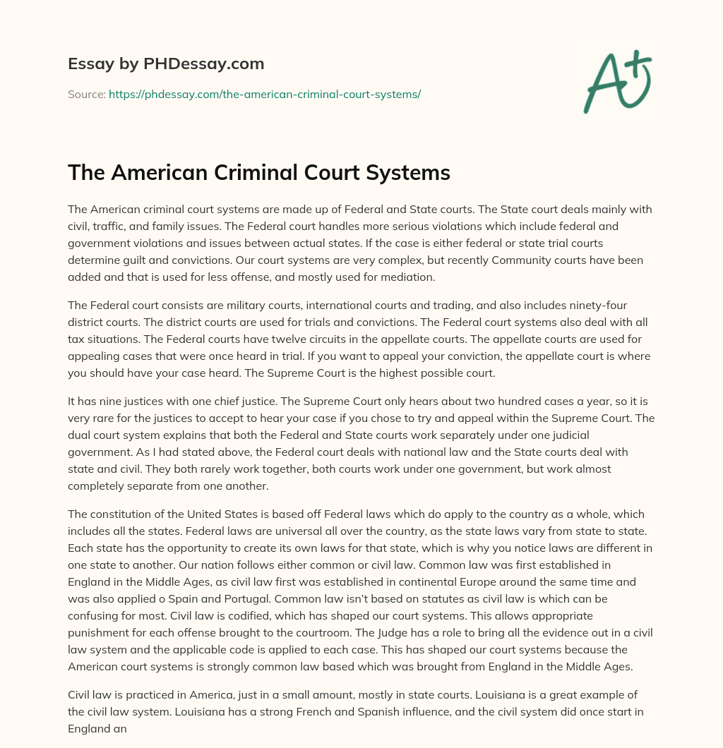 The American Criminal Court Systems essay