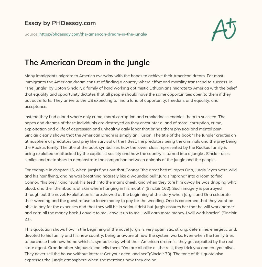 The American Dream in the Jungle essay