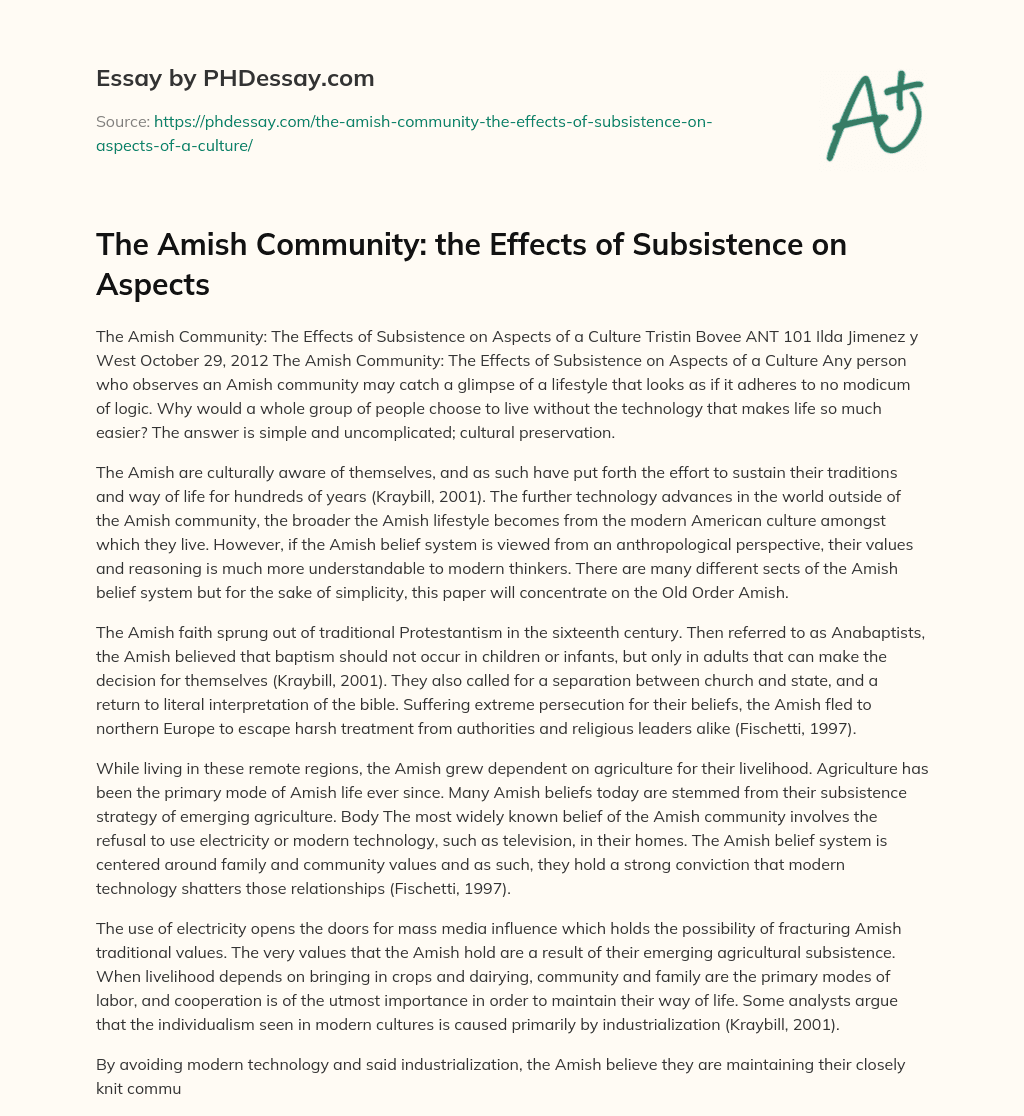 The Amish Community: the Effects of Subsistence on Aspects essay