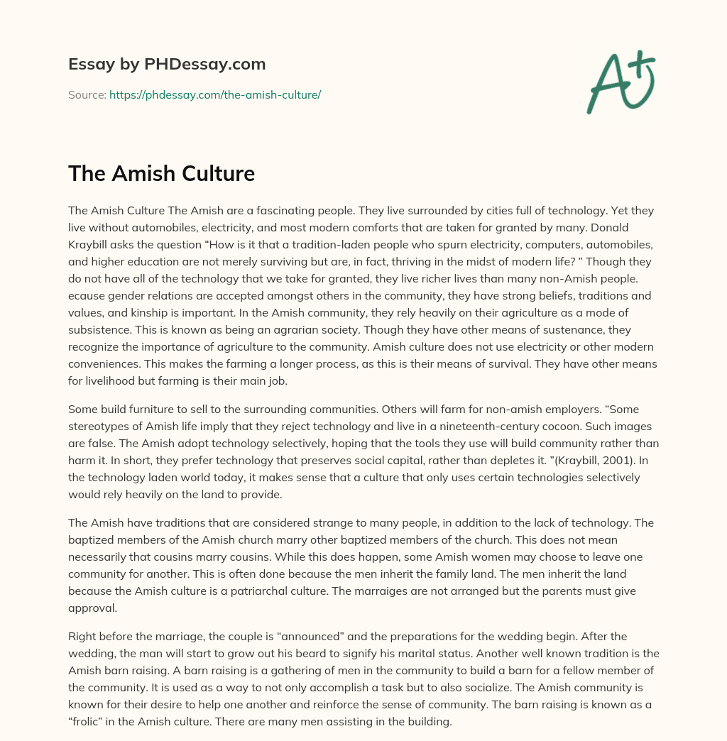 The Amish Culture essay