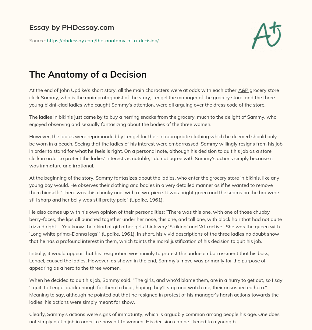The Anatomy of a Decision essay