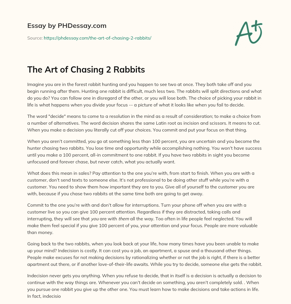 The Art of Chasing 2 Rabbits essay
