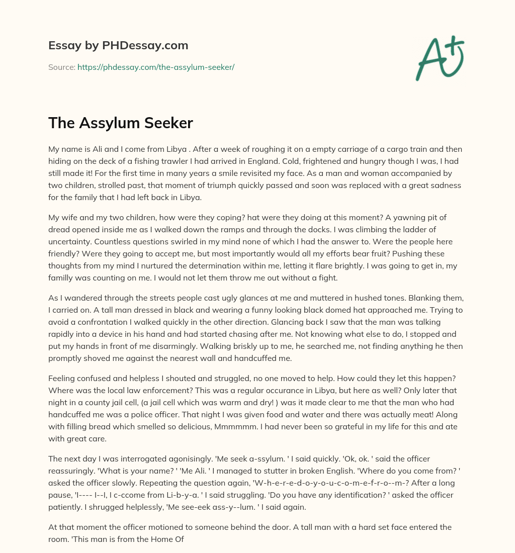 The Assylum Seeker essay