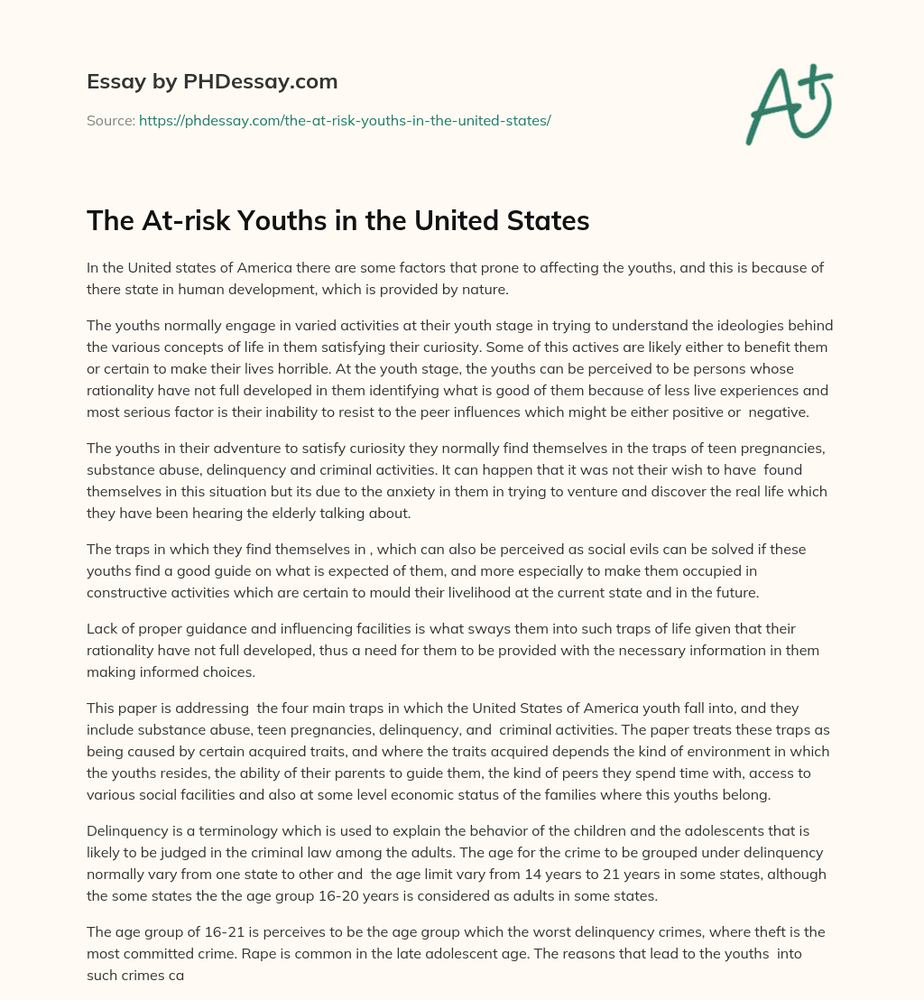The At-risk Youths in the United States essay