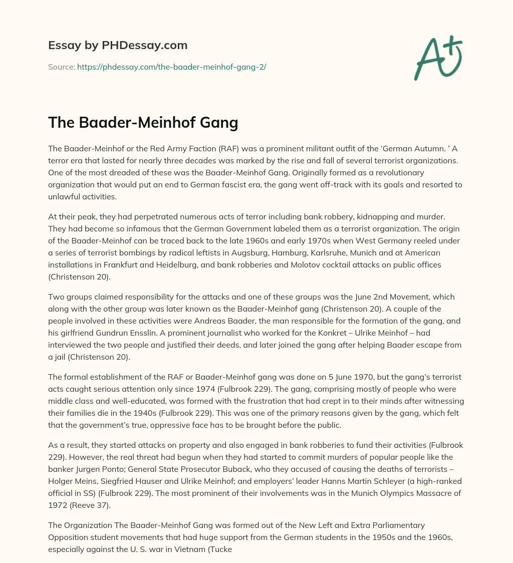 The Baader-Meinhof Gang essay