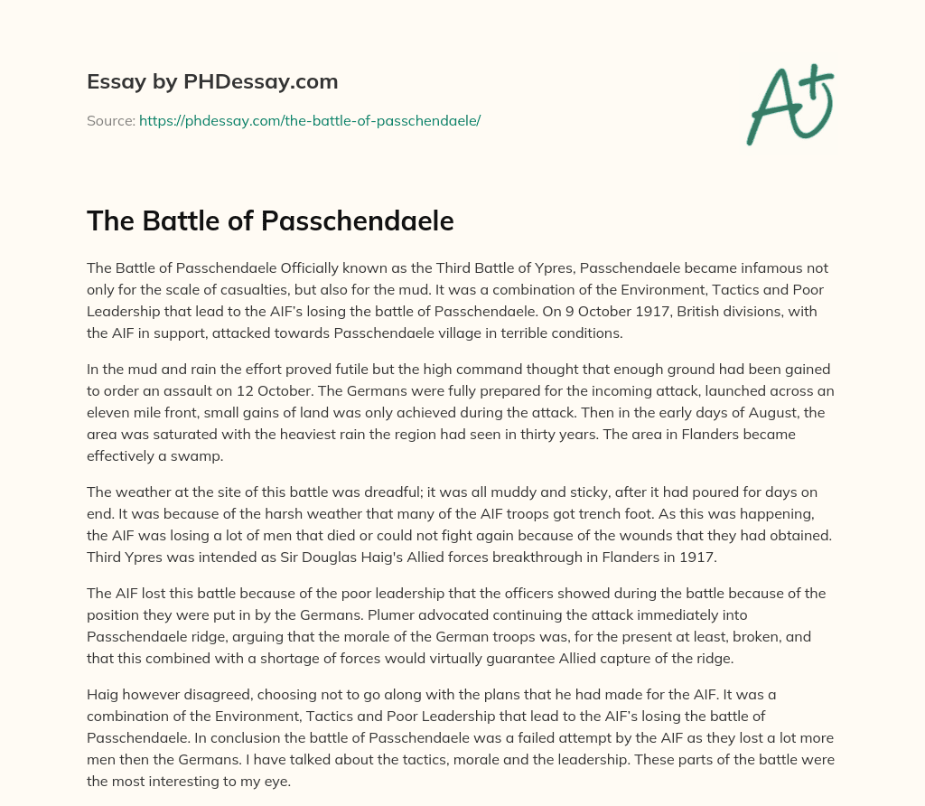 The Battle of Passchendaele essay