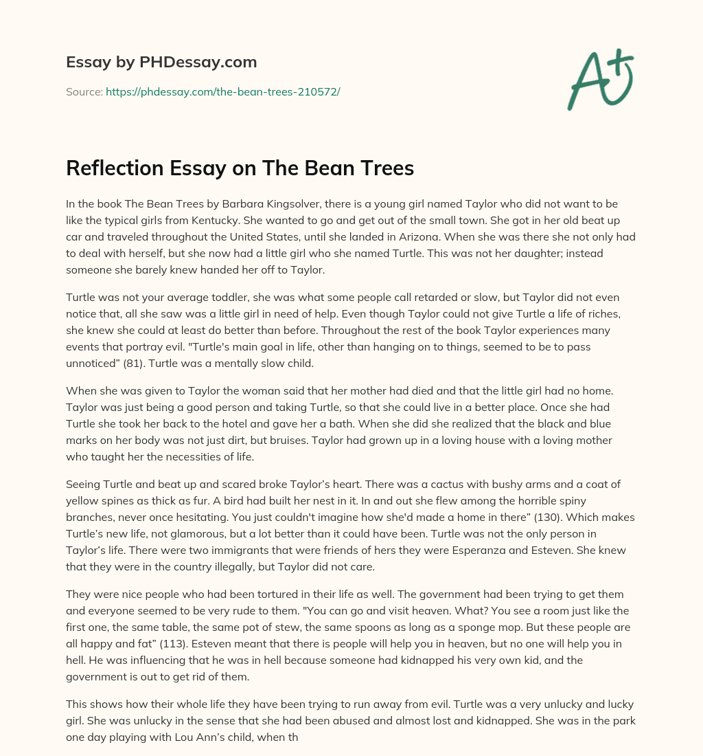 Reflection Essay on The Bean Trees essay