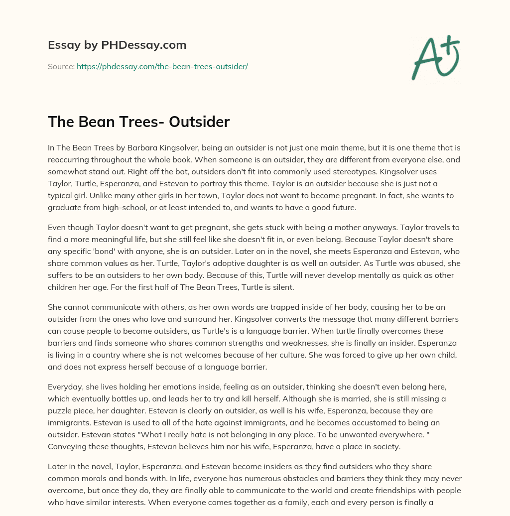 The Bean Trees Outsider (500 Words)