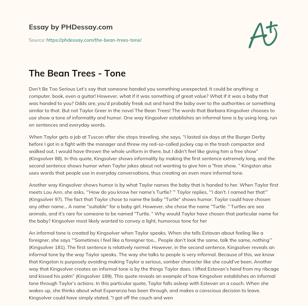 The Bean Trees – Tone essay