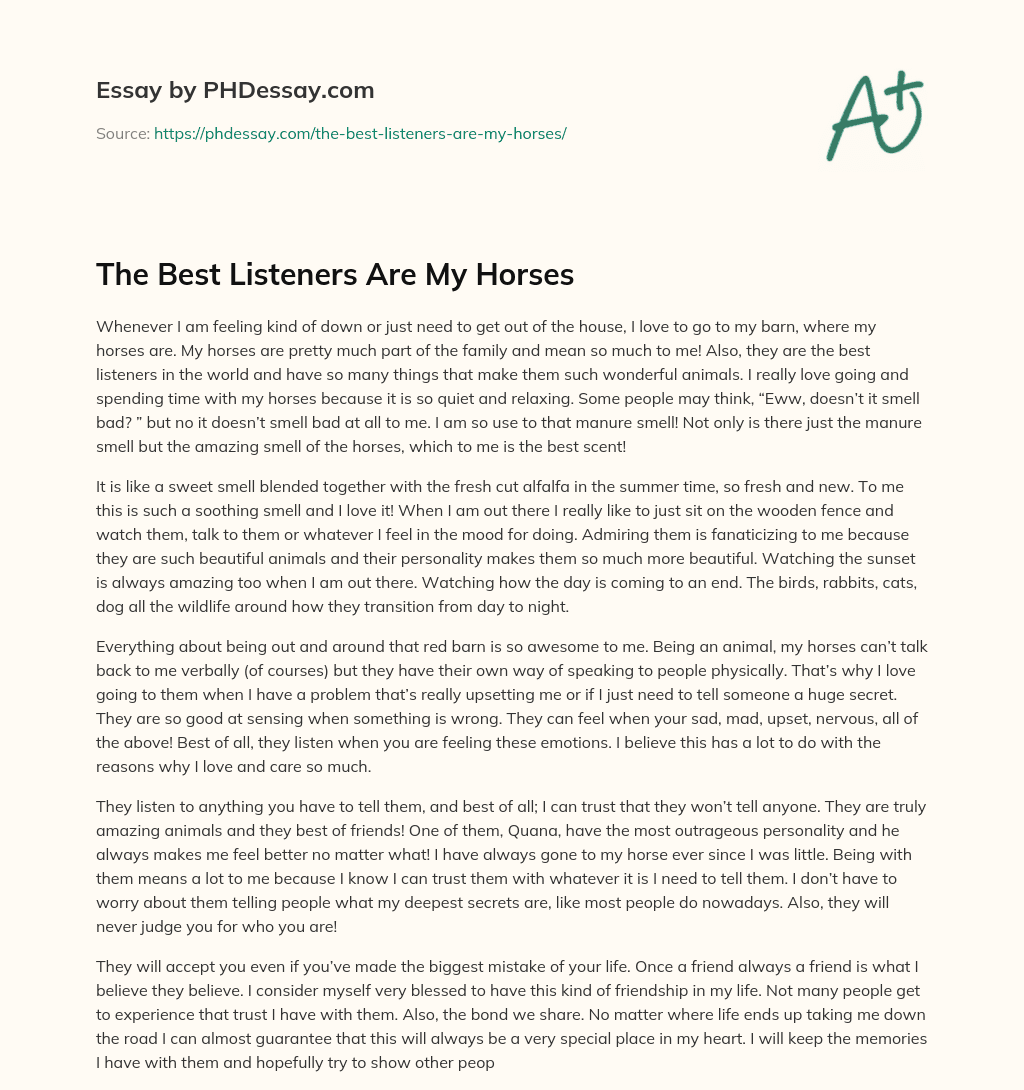 The Best Listeners Are My Horses essay