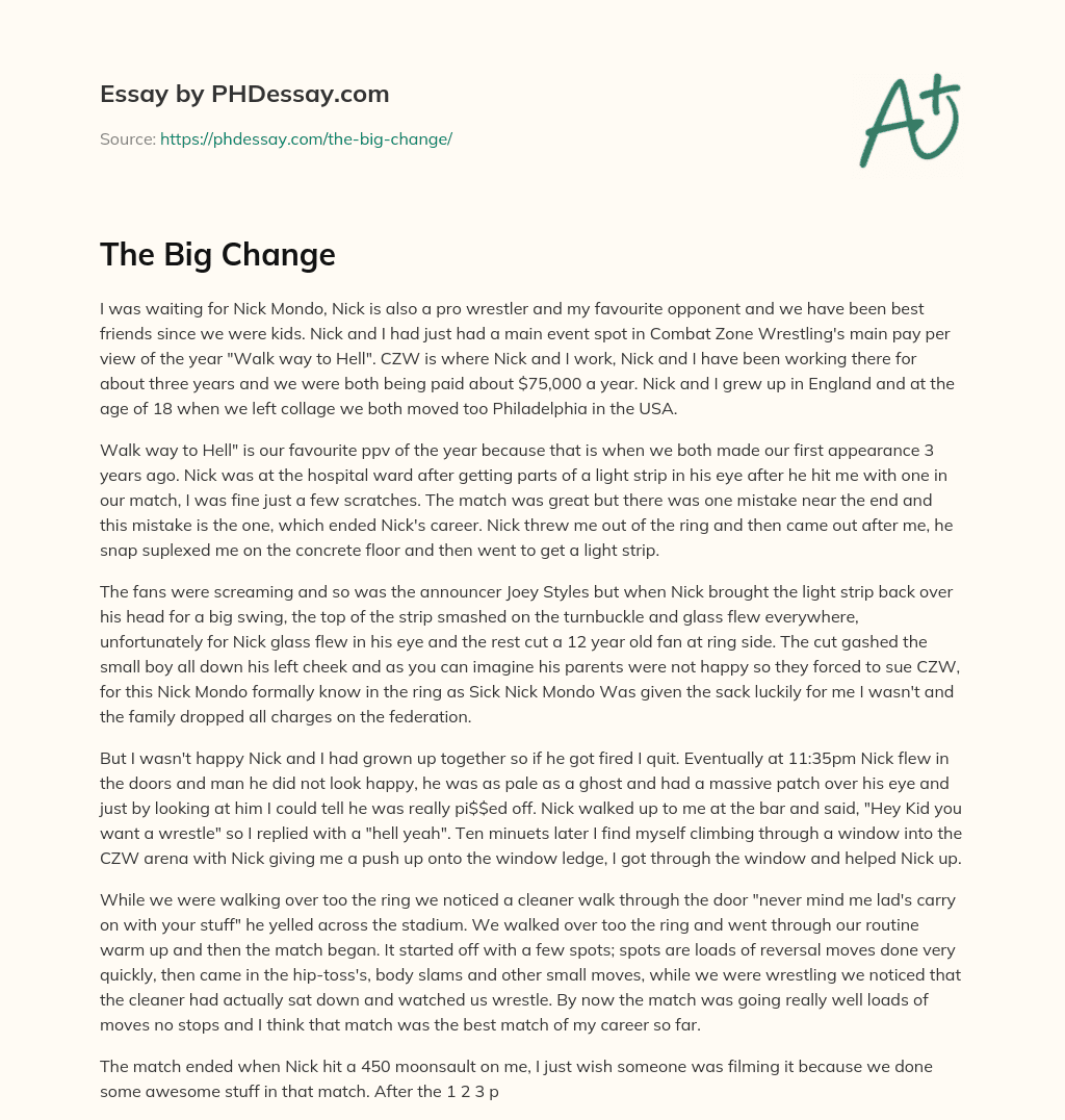 The Big Change essay