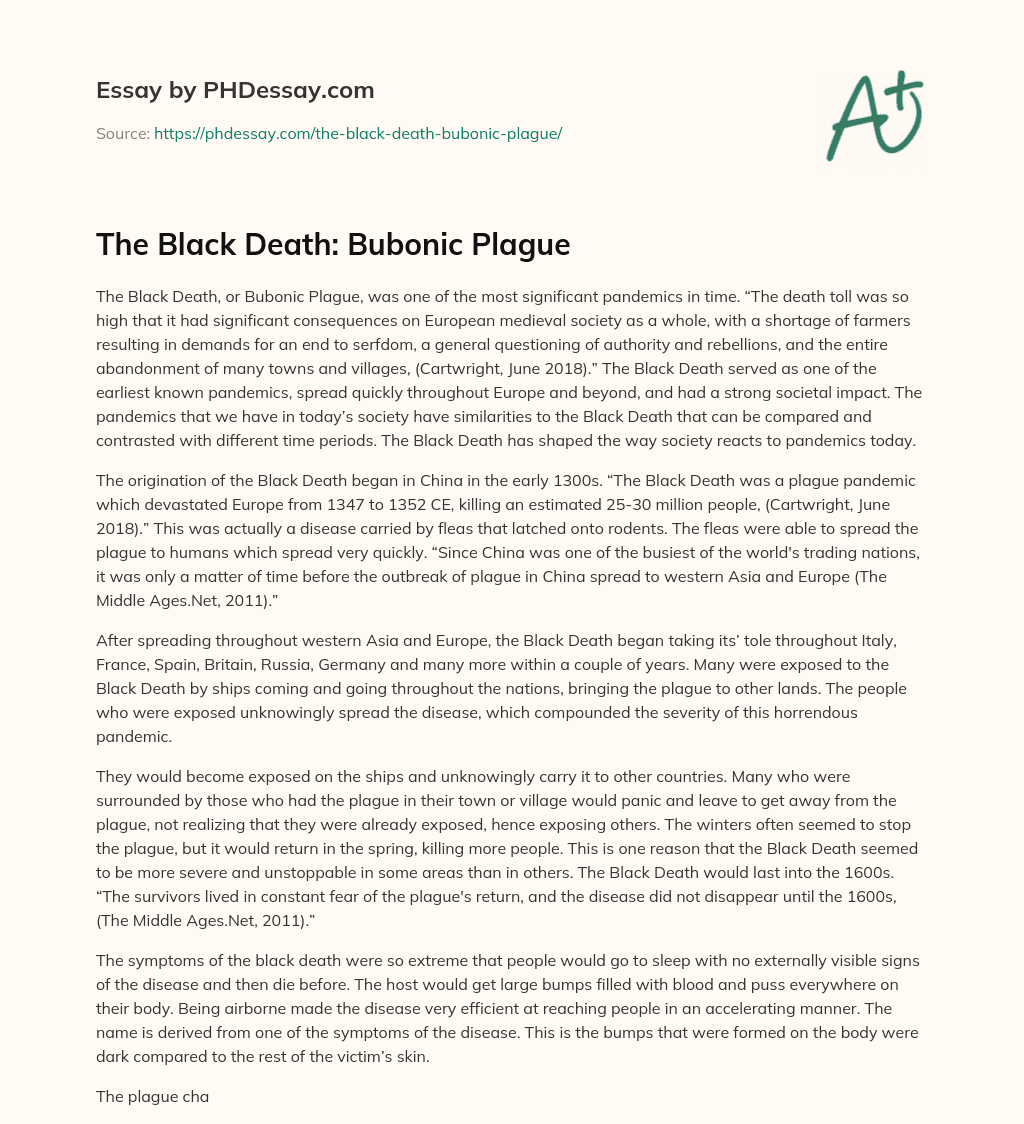 black death summary essay