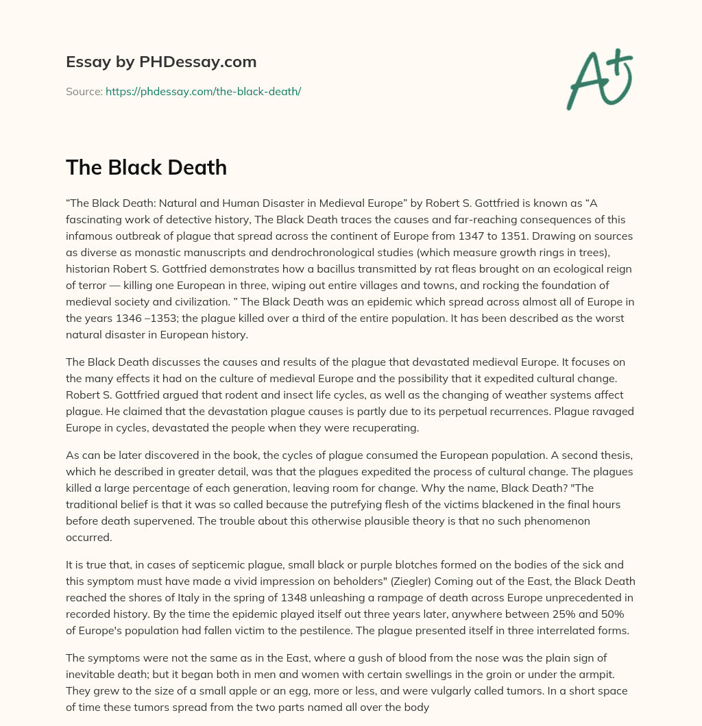 The Black Death essay