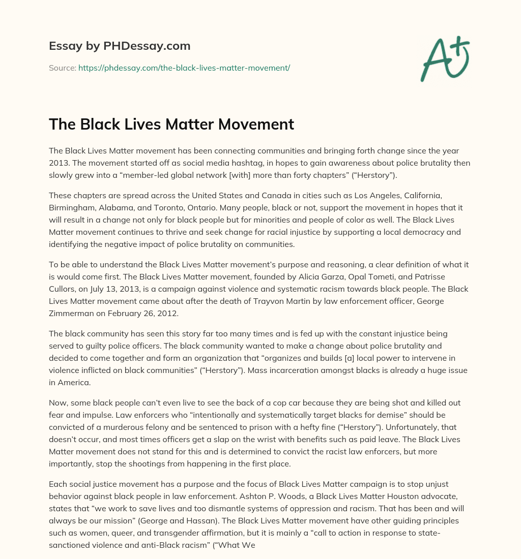 The Black Lives Matter Movement essay