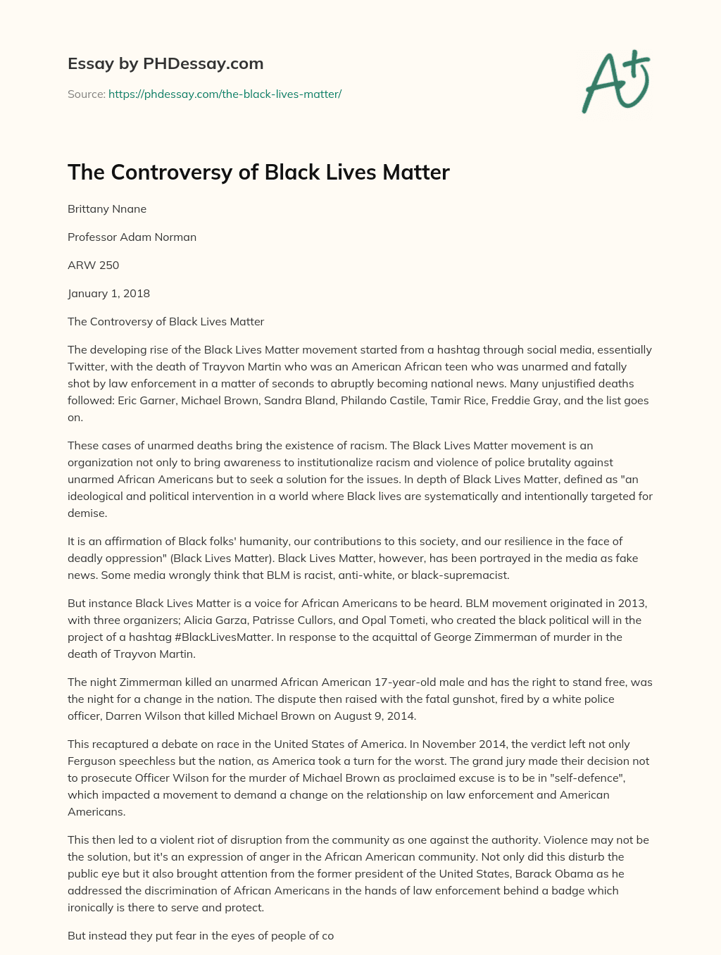 The Controversy of Black Lives Matter essay