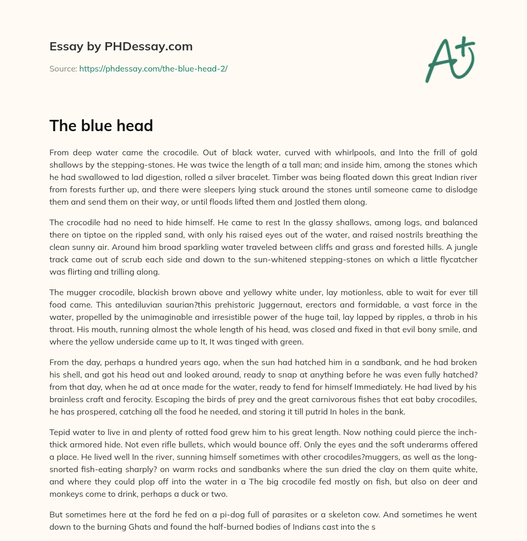 The blue head essay