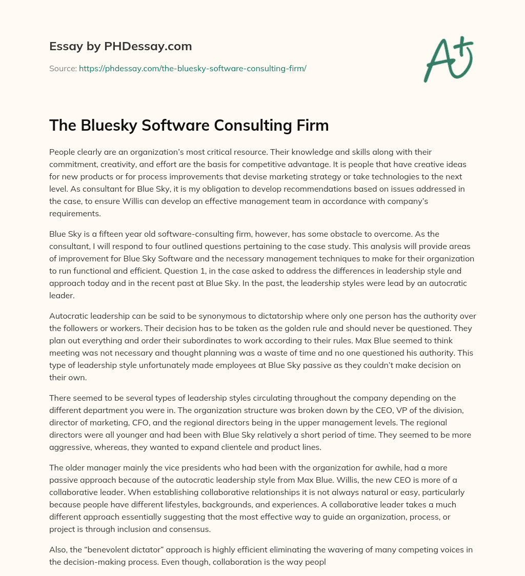 The Bluesky Software Consulting Firm essay