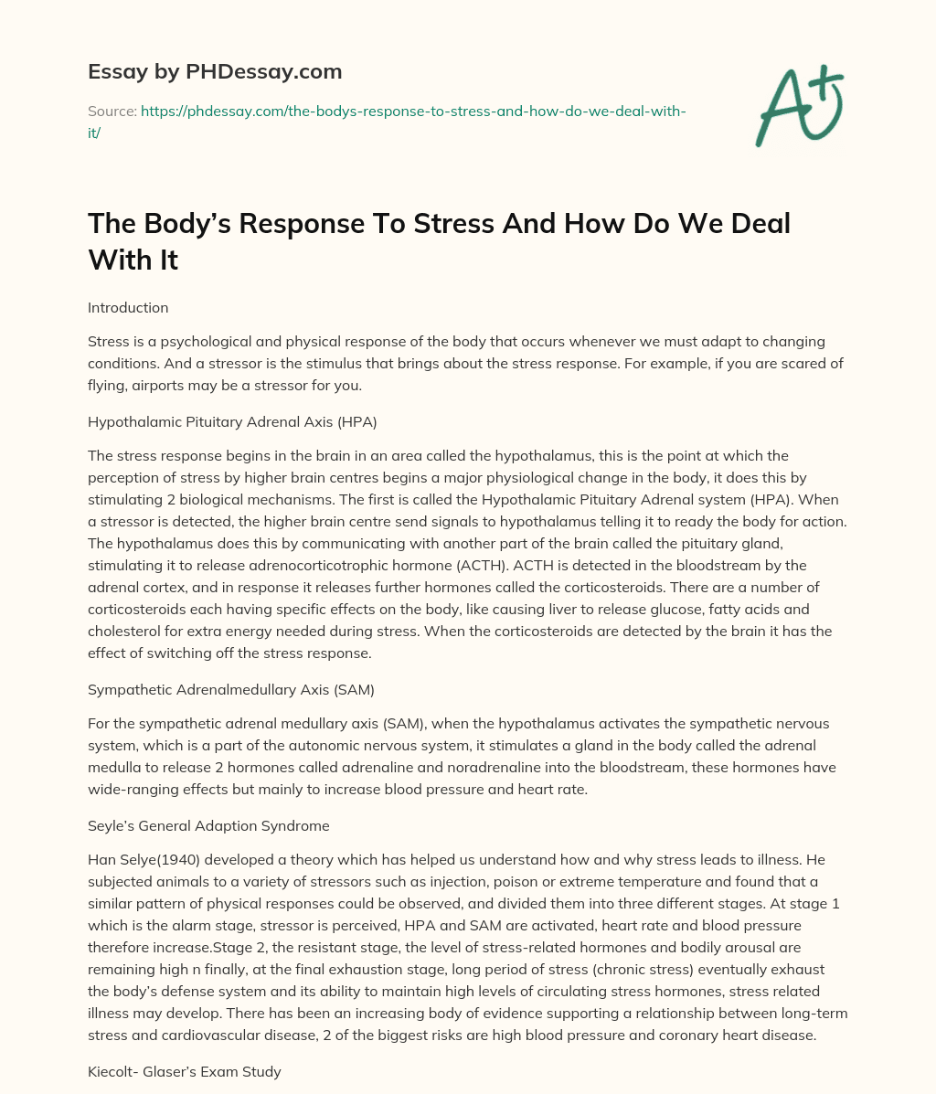 The Body’s Response To Stress And How Do We Deal With It essay