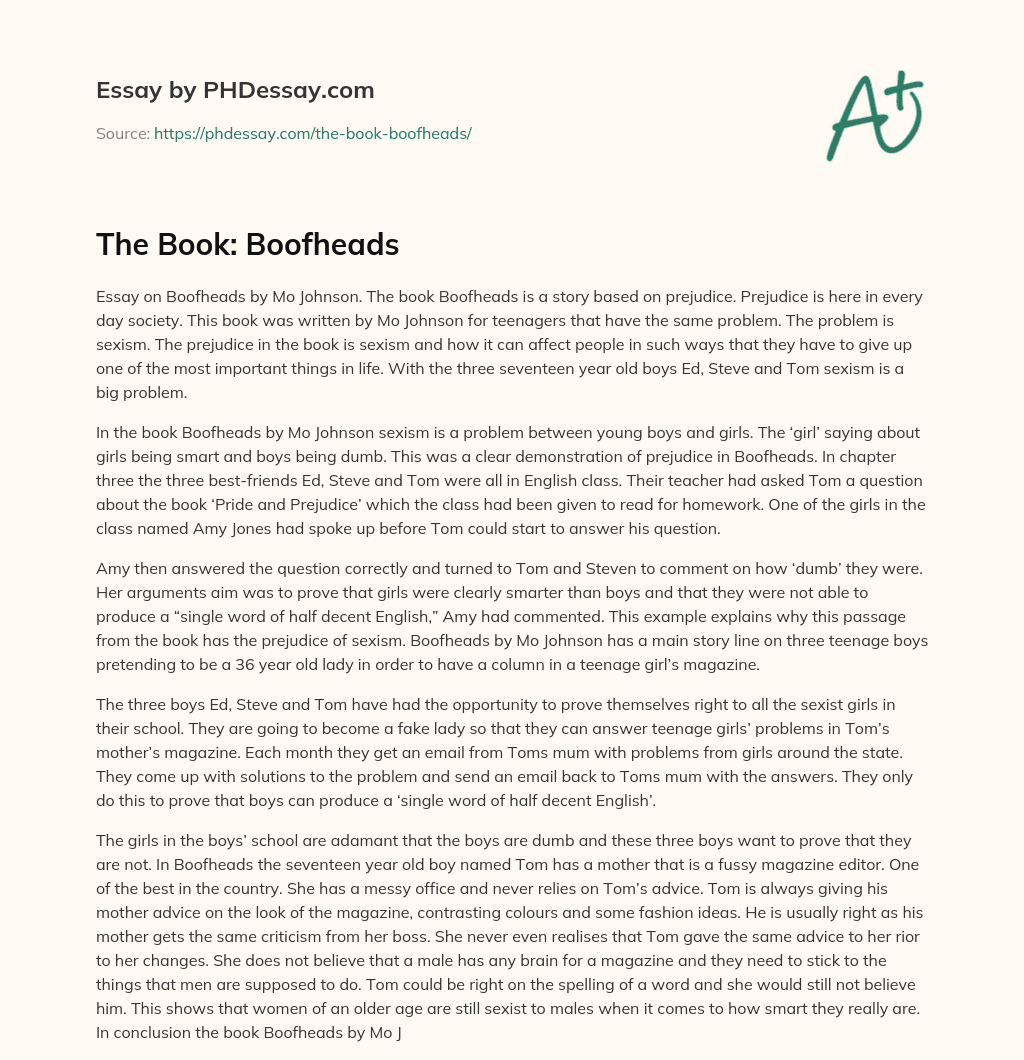 The Book: Boofheads essay