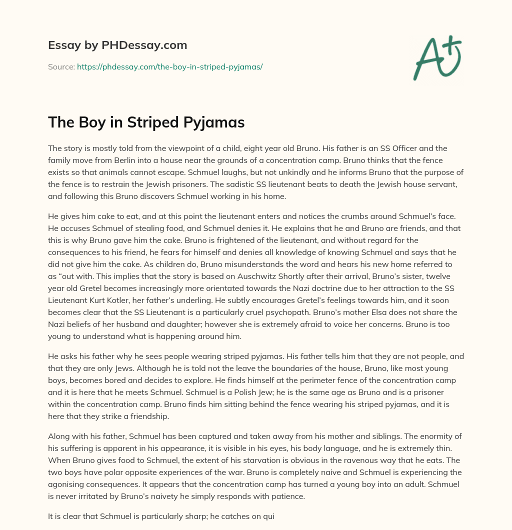 The Boy in Striped Pyjamas essay