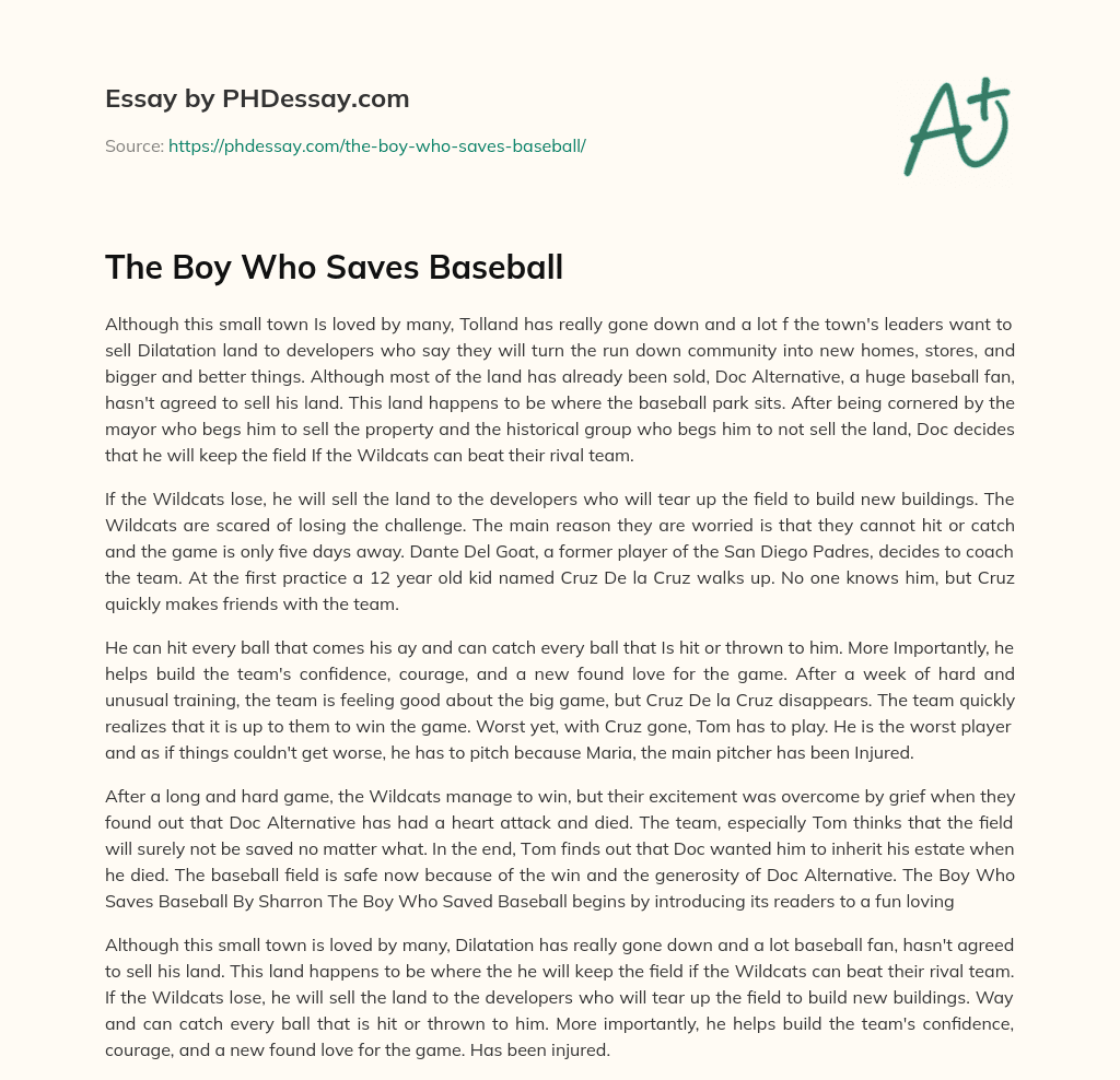 The Boy Who Saves Baseball essay