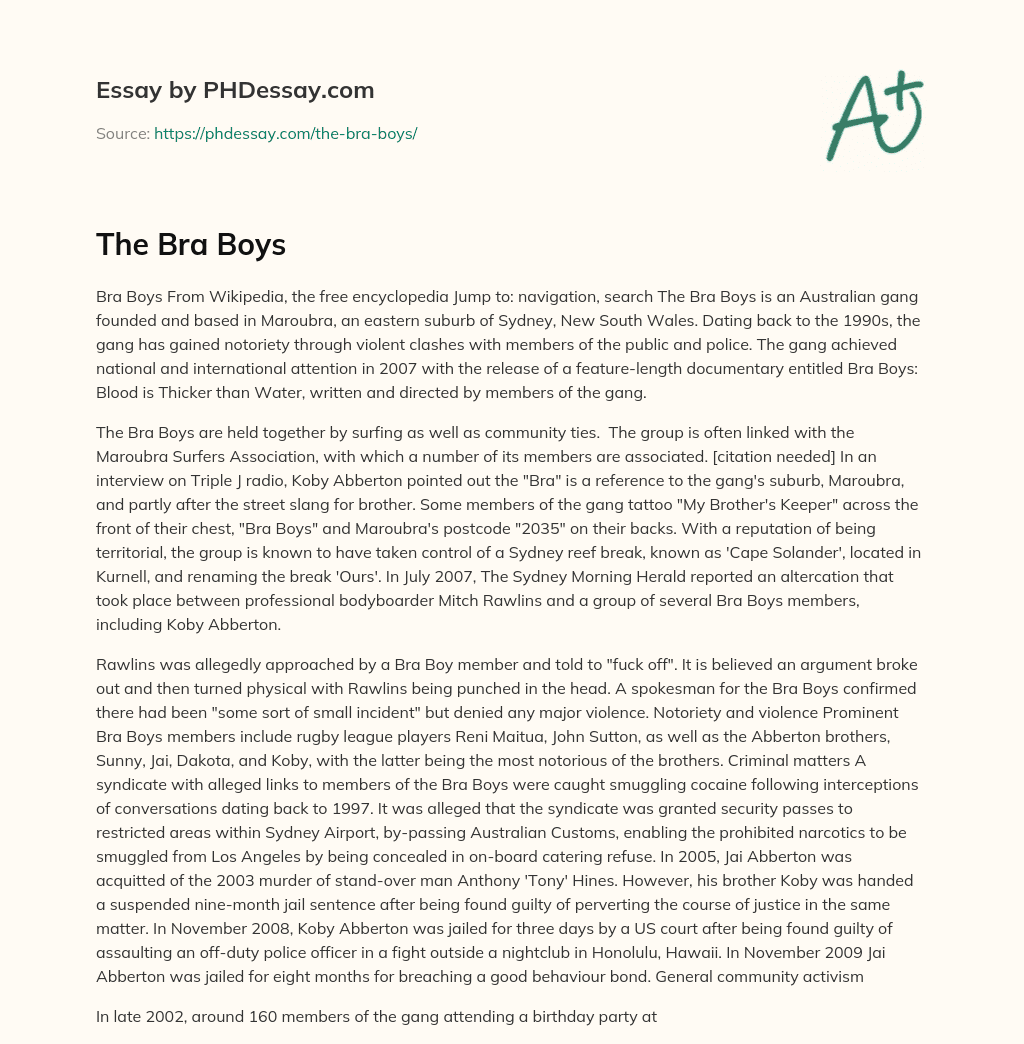 The Bra Boys essay