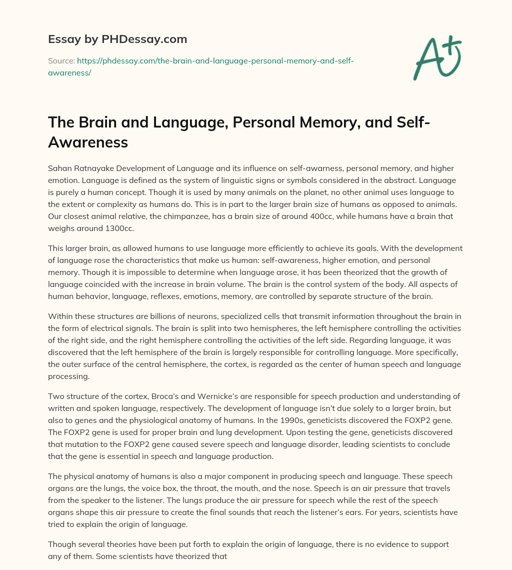 The Brain and Language, Personal Memory, and Self-Awareness essay