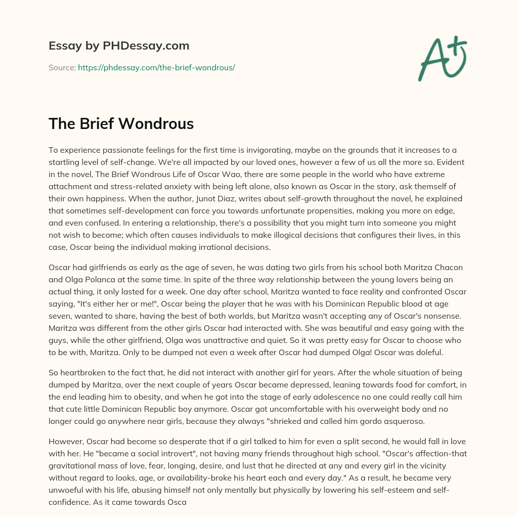 The Brief Wondrous essay