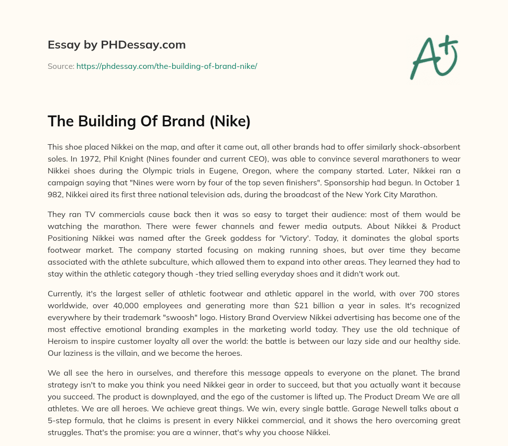 The Building Of Brand (Nike) essay