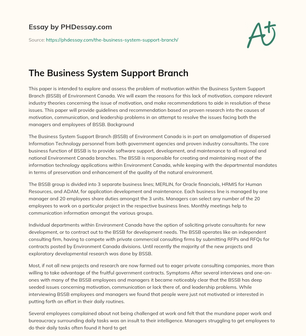 The Business System Support Branch essay