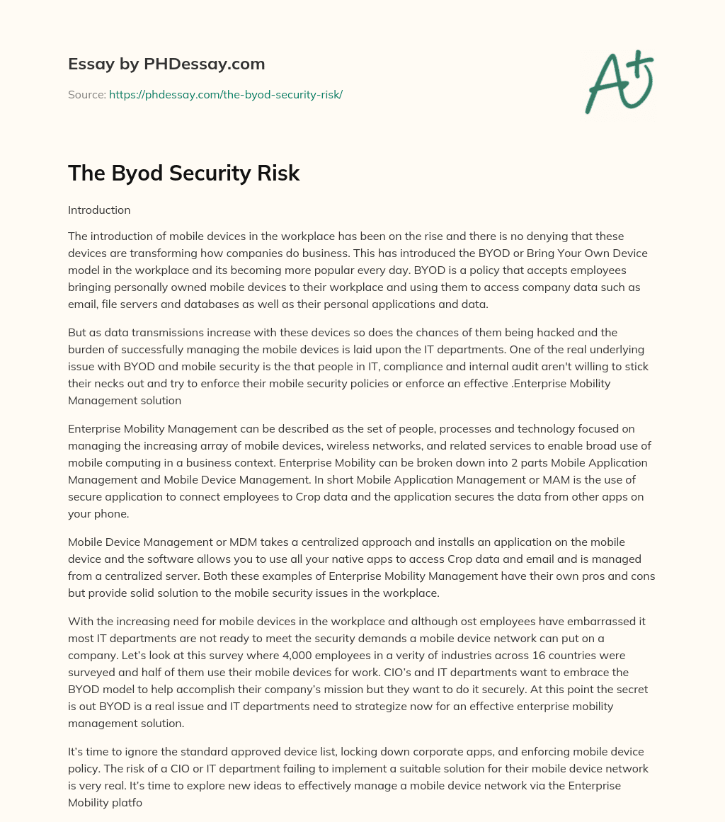 The Byod Security Risk essay
