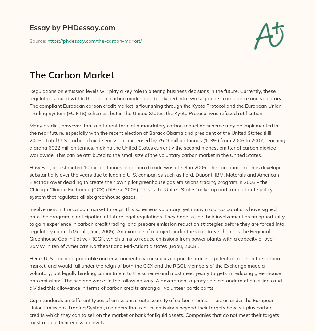 The Carbon Market essay