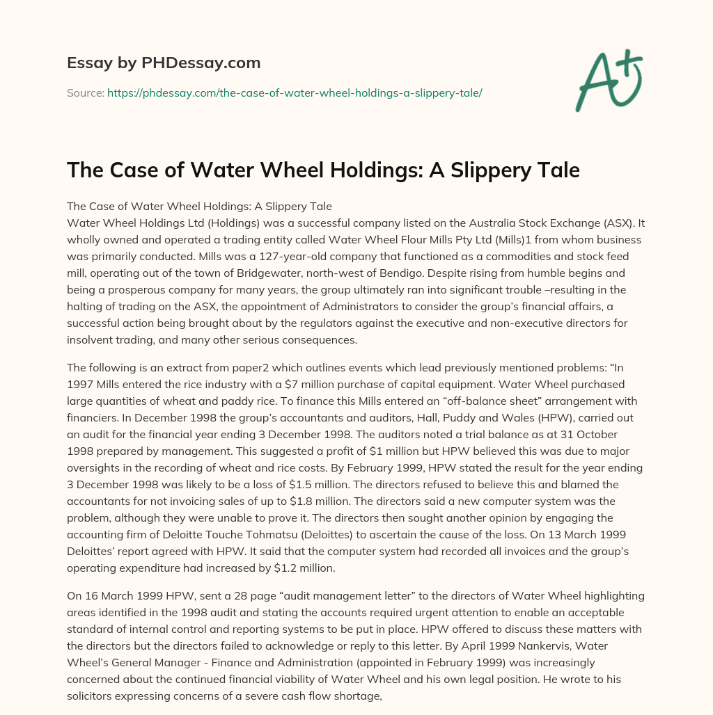 The Case of Water Wheel Holdings: A Slippery Tale essay