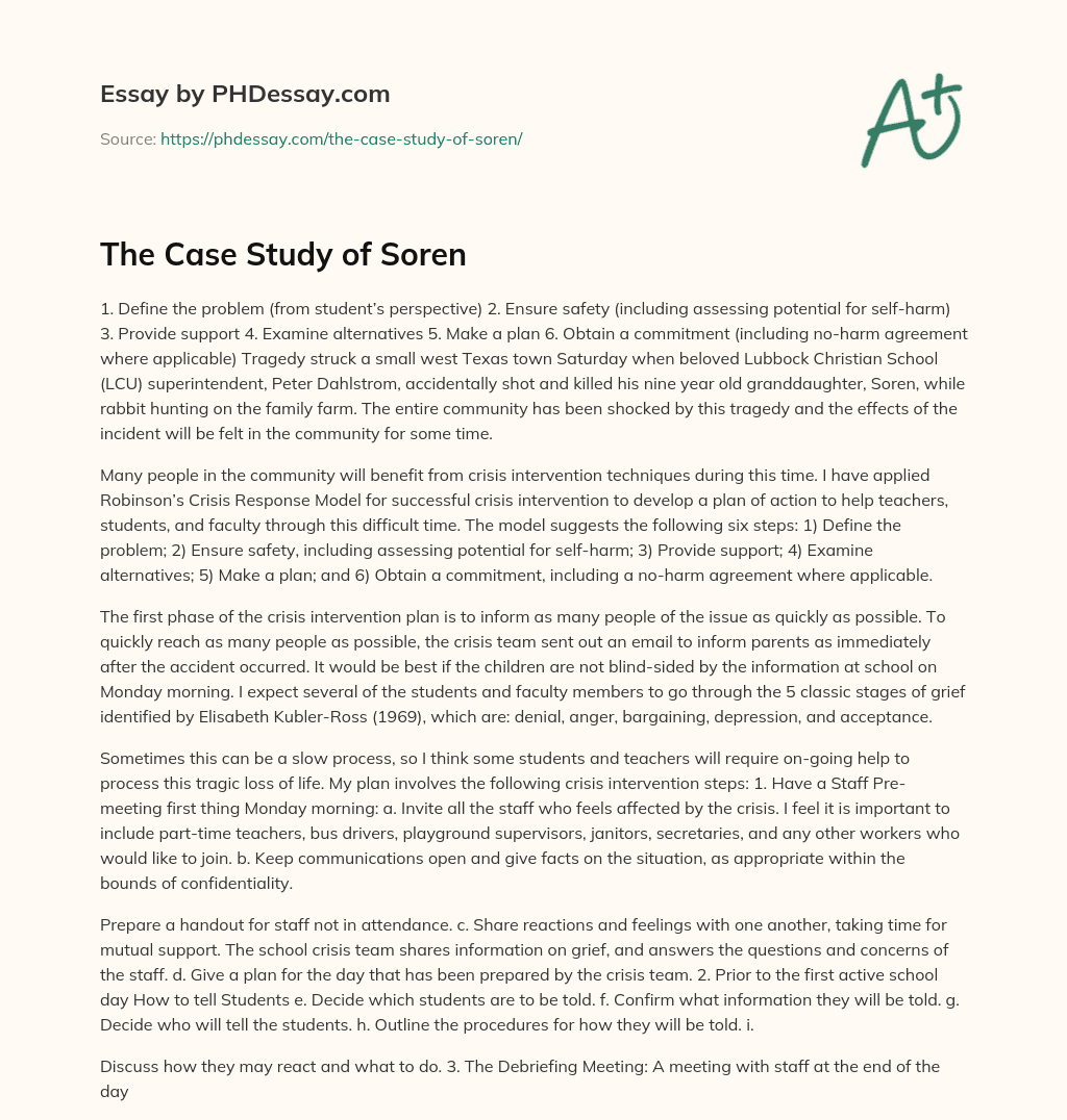 The Case Study of Soren essay