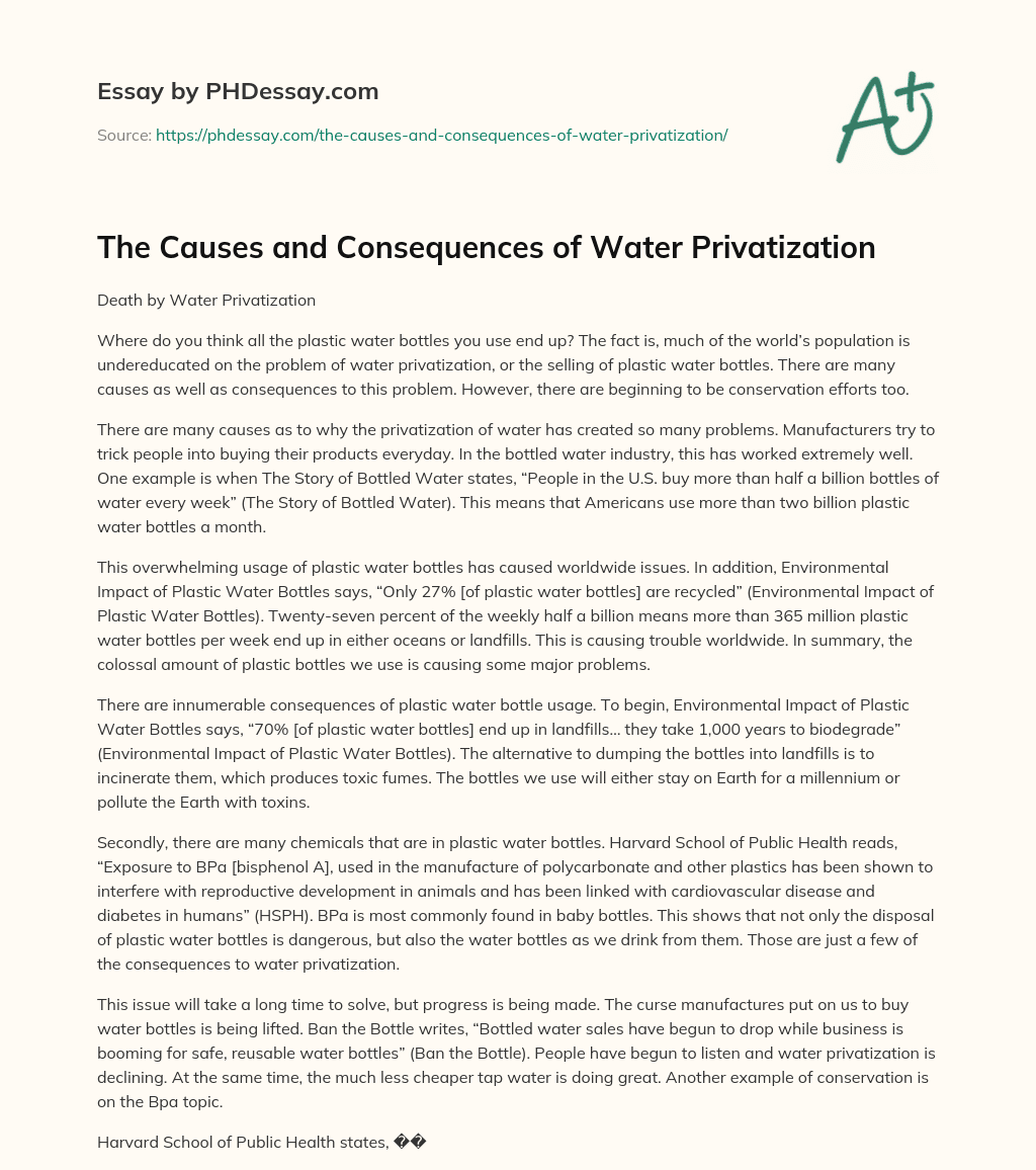 The Causes and Consequences of Water Privatization