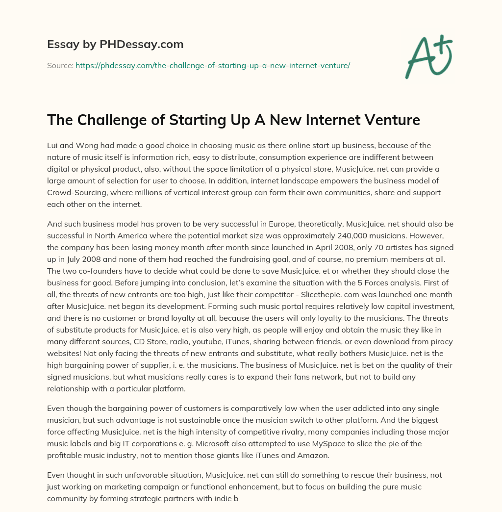 The Challenge of Starting Up A New Internet Venture essay
