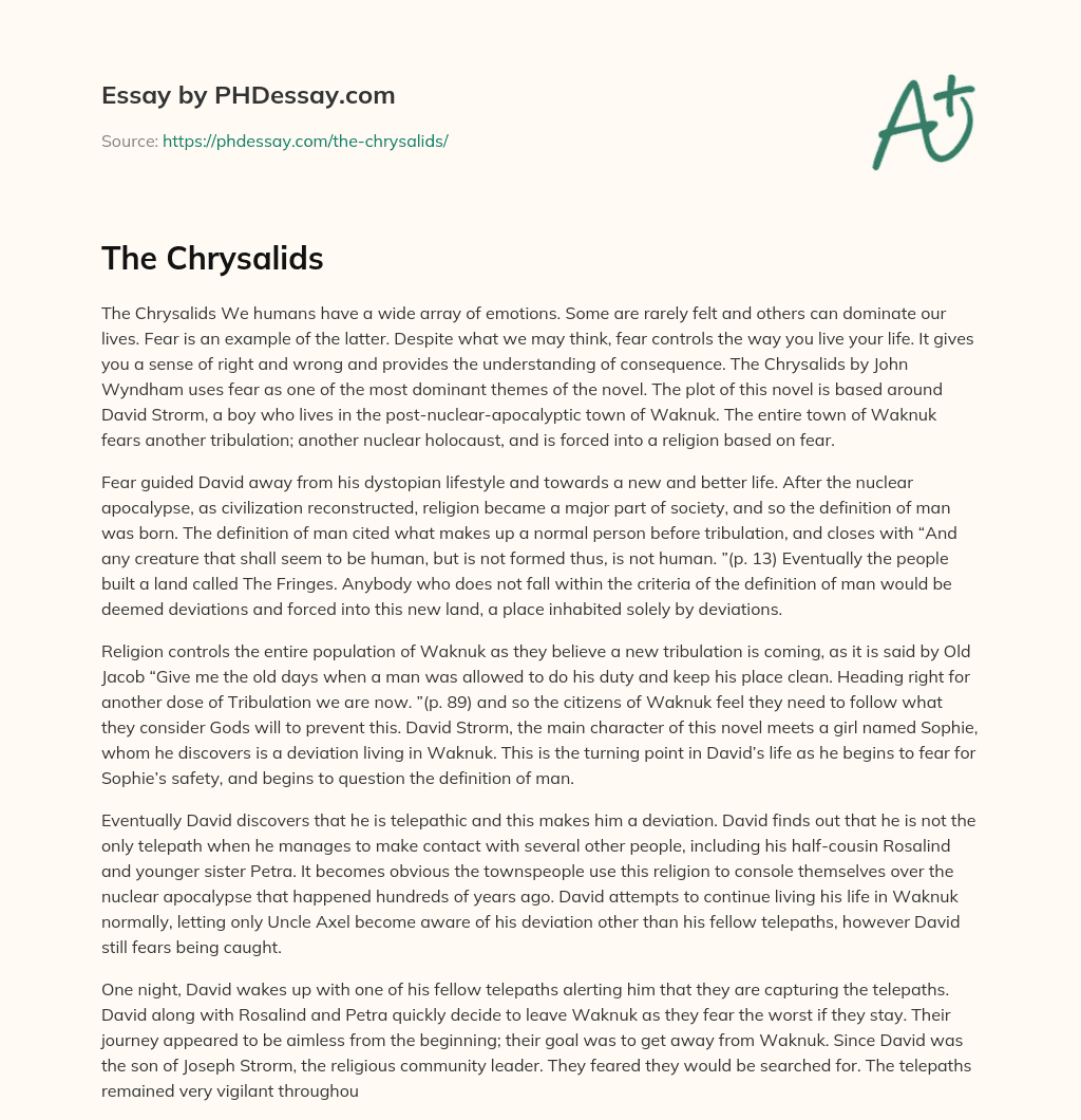The Chrysalids essay