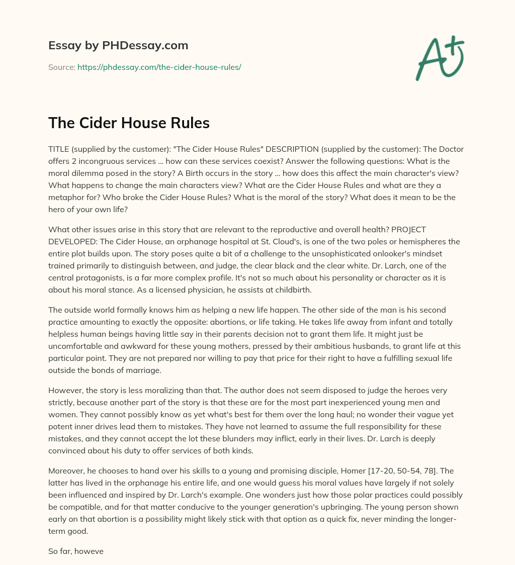 The Cider House Rules essay
