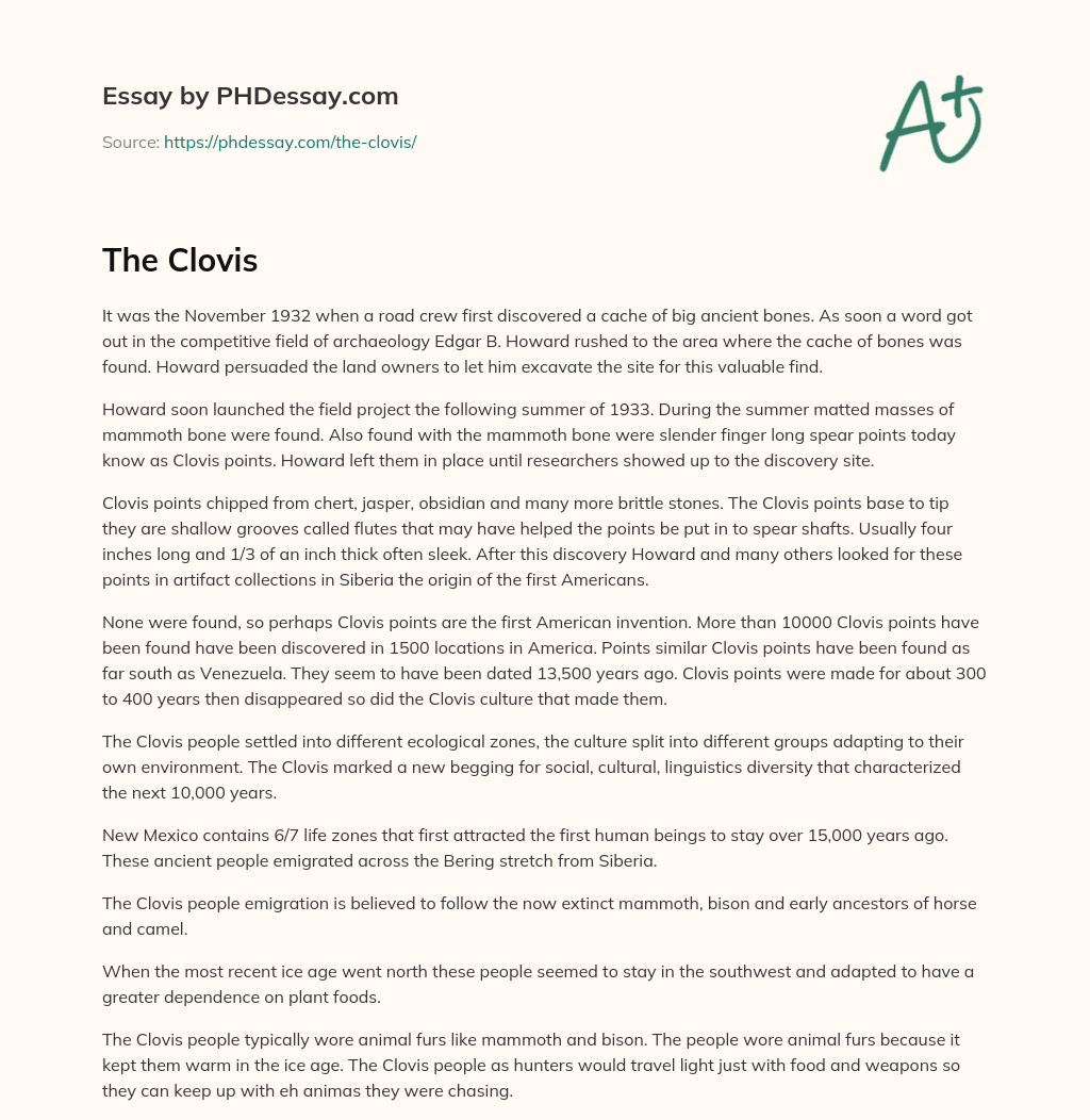 Discovery of Clovis Points: Possible First American Invention essay