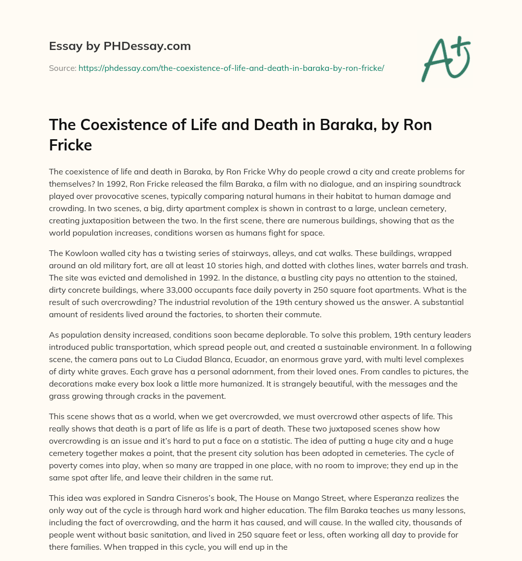 The Coexistence of Life and Death in Baraka, by Ron Fricke essay