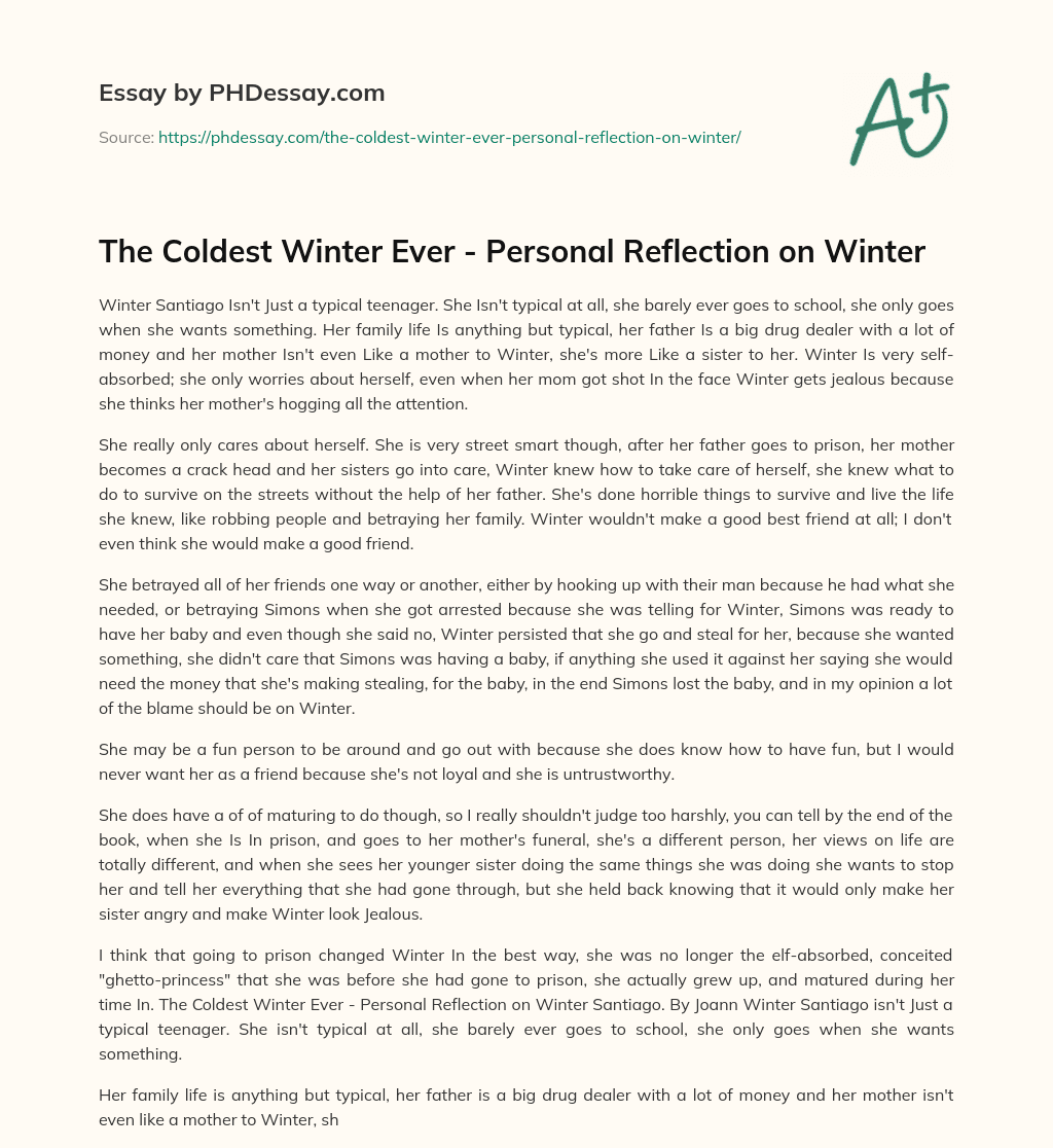 essay on the coldest winter ever