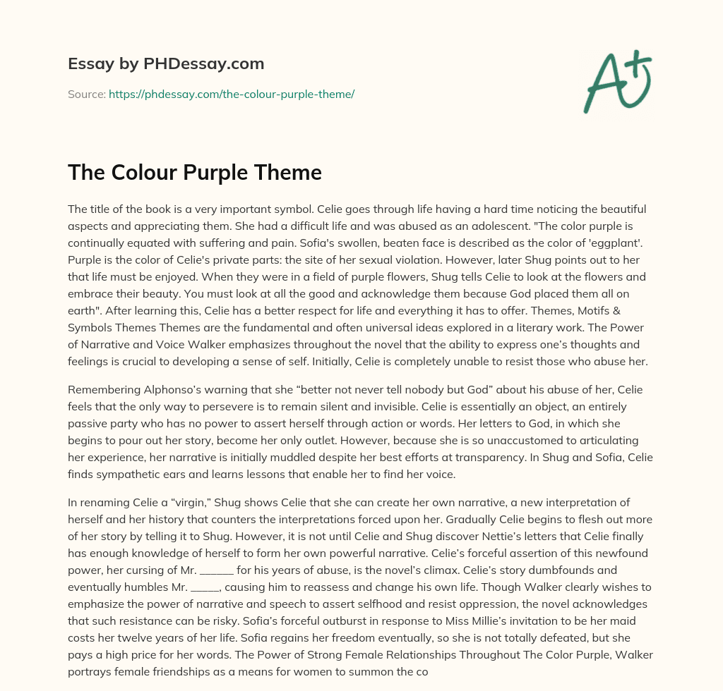 The Colour Purple Theme essay