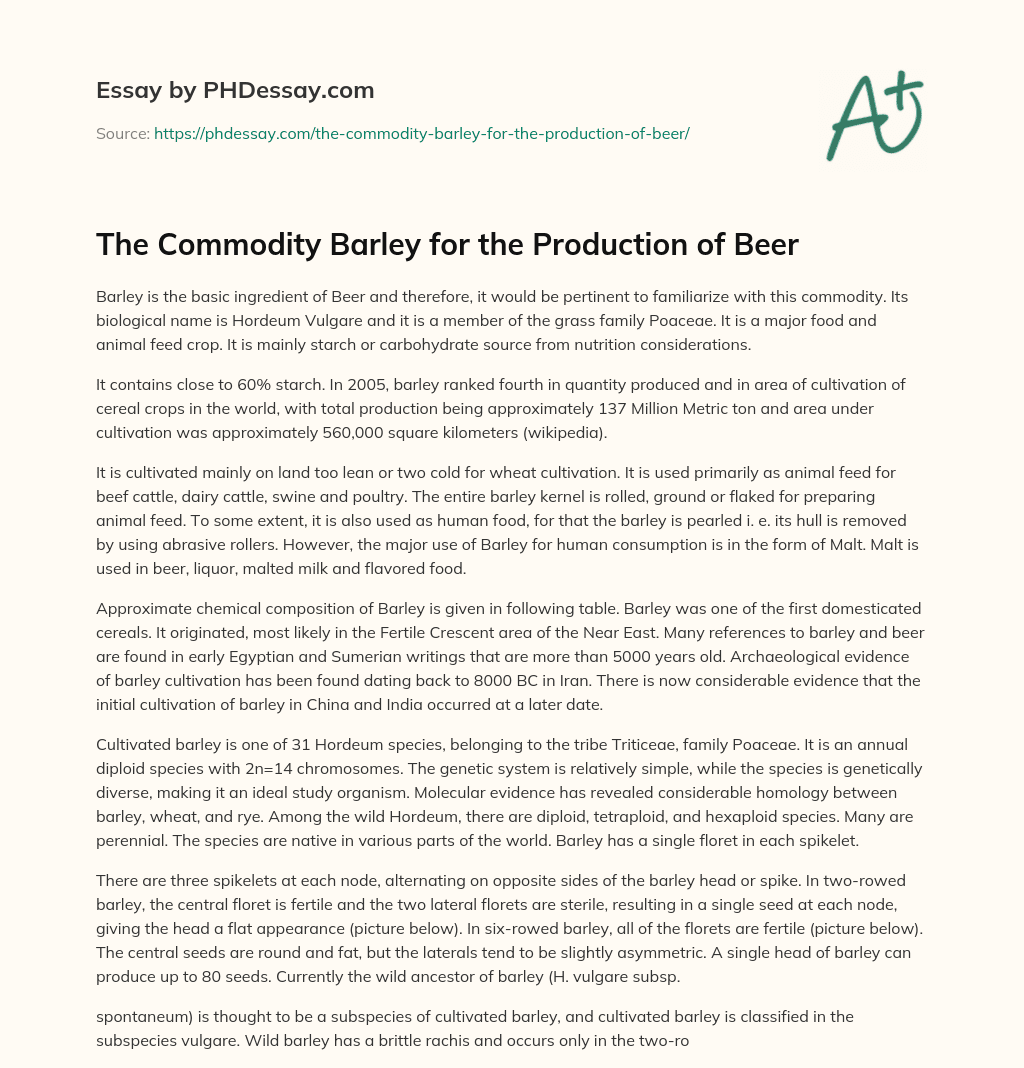 The Commodity Barley for the Production of Beer essay