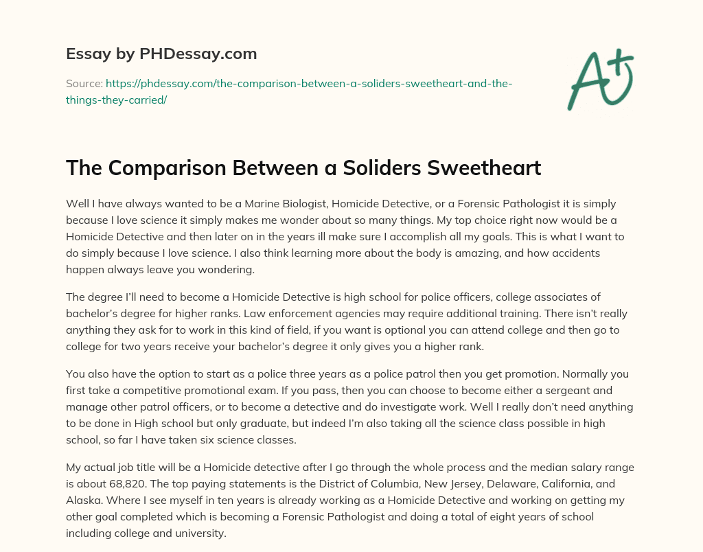 The Comparison Between a Soliders Sweetheart essay