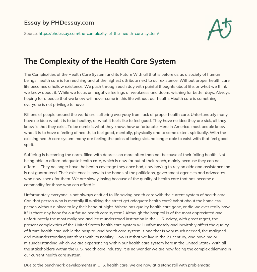 The Complexity of the Health Care System essay