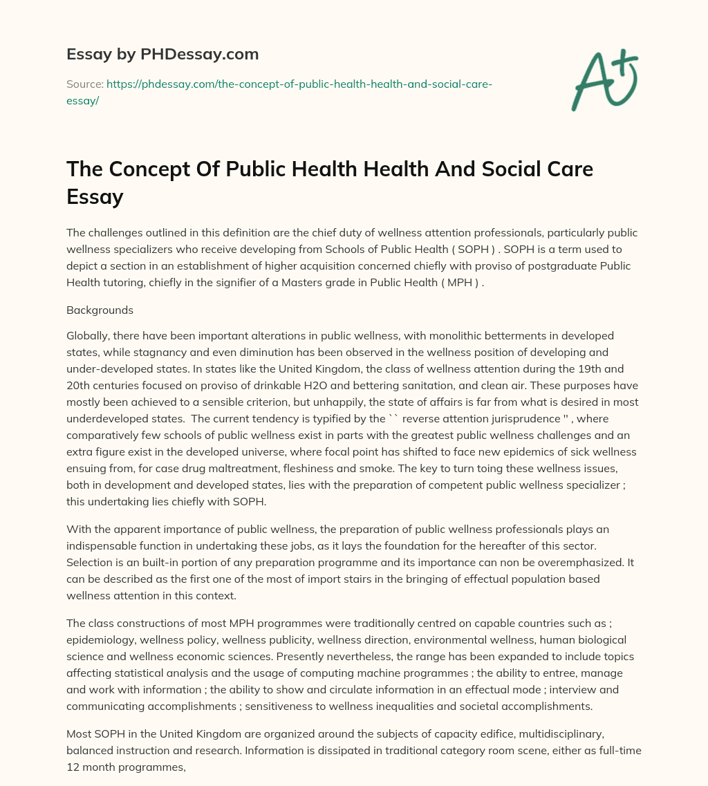 The Concept Of Public Health Health And Social Care Essay essay