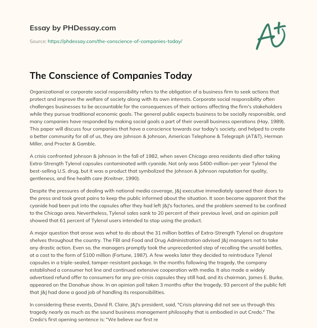 The Conscience of Companies Today essay